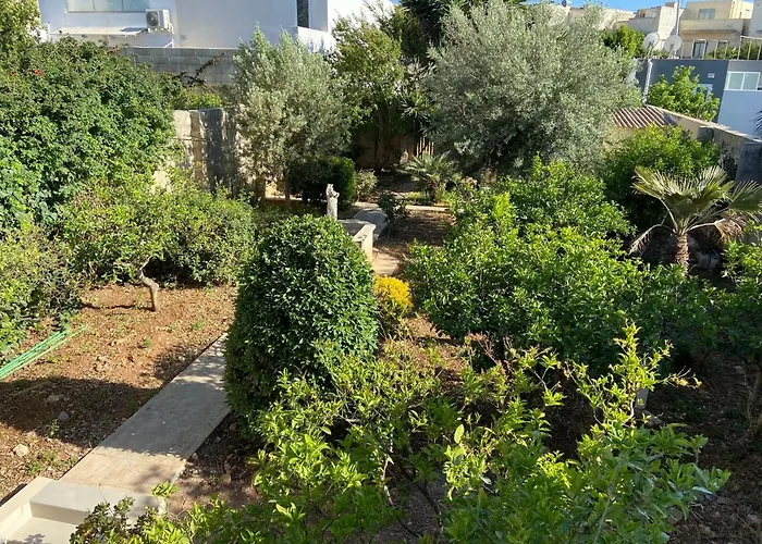 Garden View Apartment照片